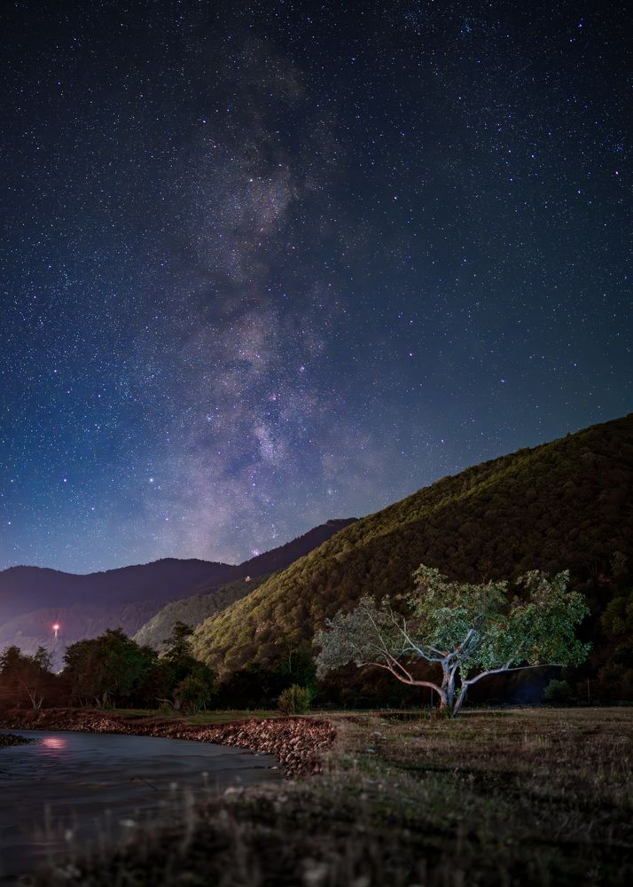 Photograph by Andrew Kuprin