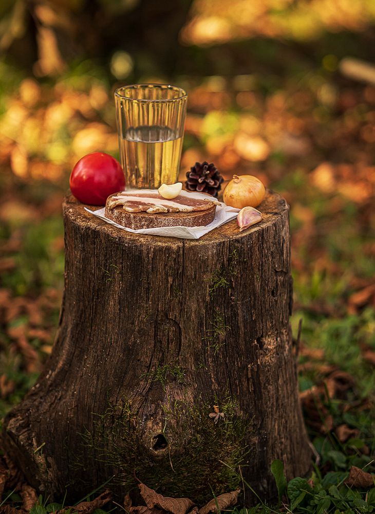 Фотография автора Виктор Парщиков