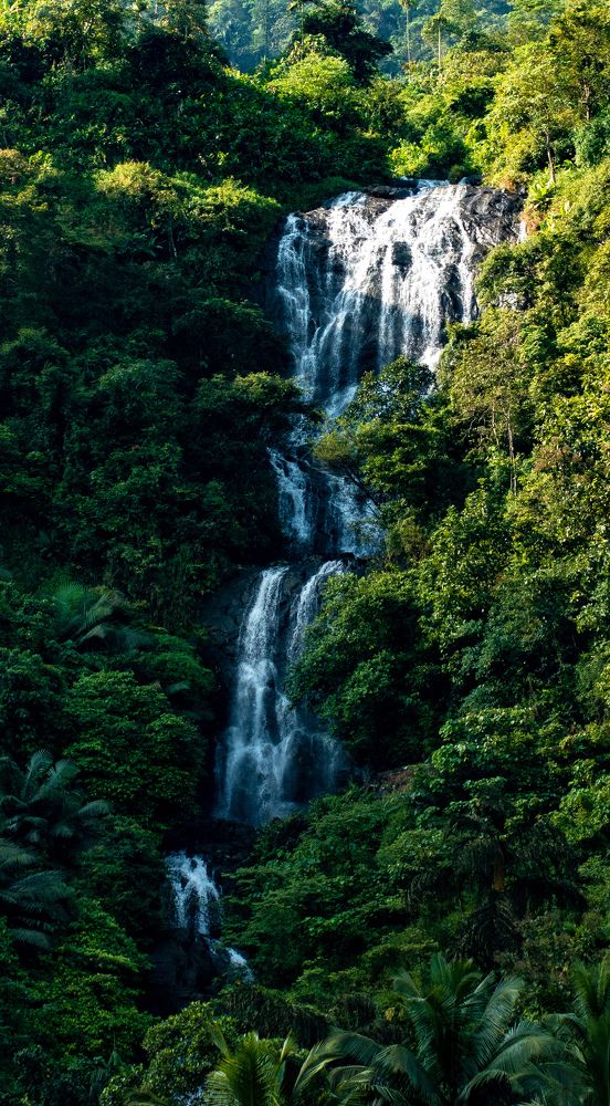 Photograph by Sreerag k k