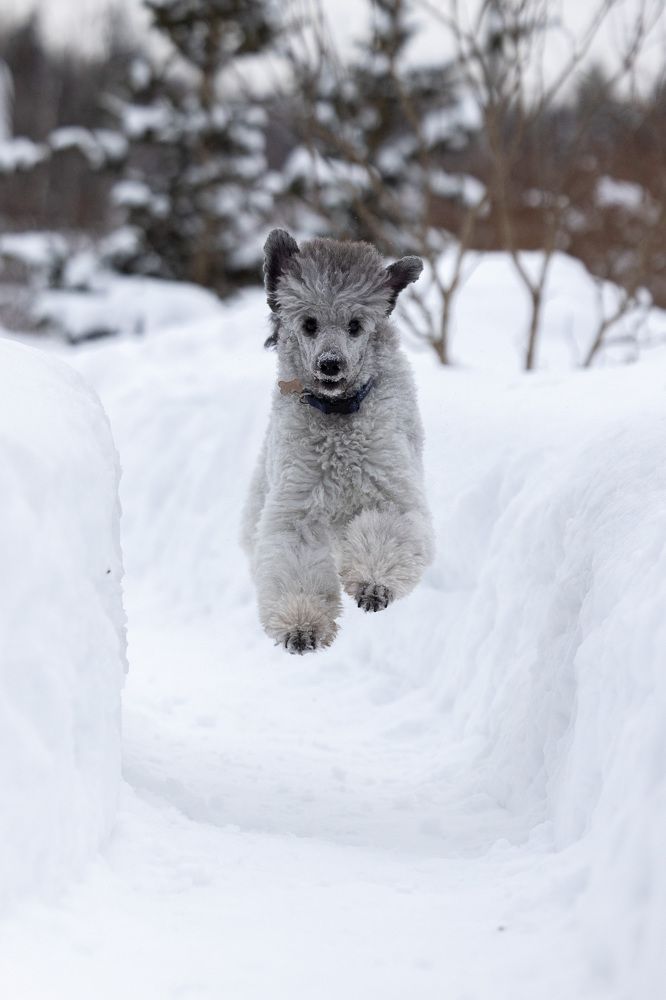 Photograph by Пономарев Илья