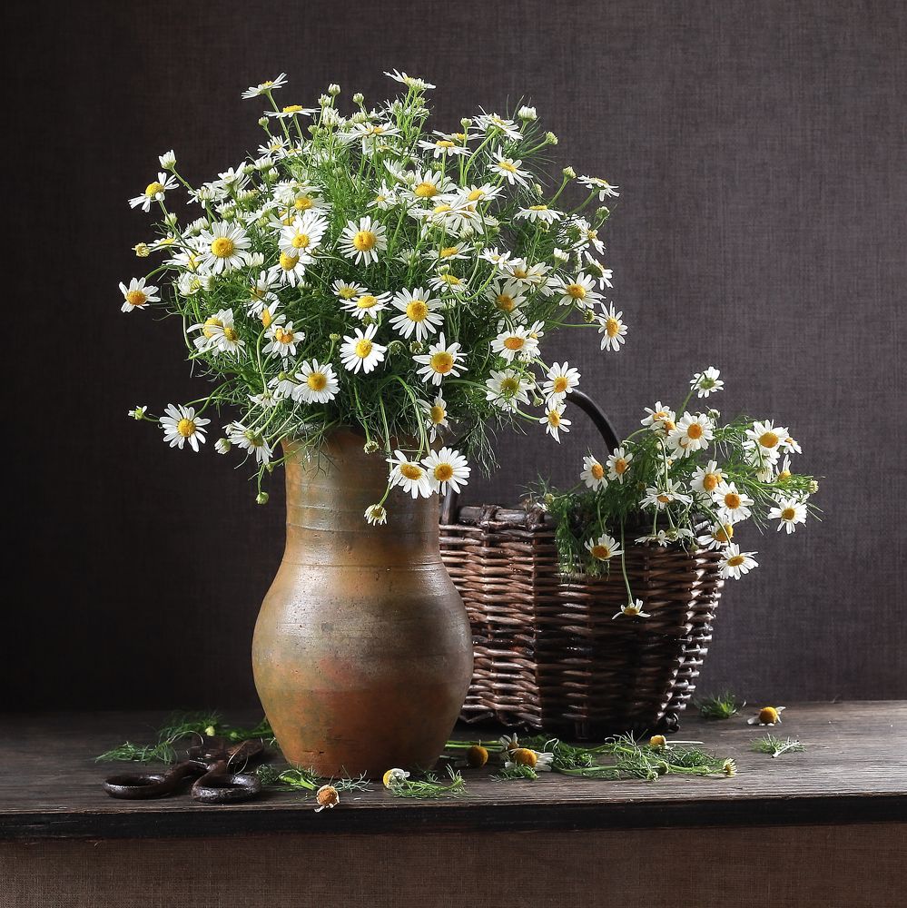 Photograph by Наталья Казанцева