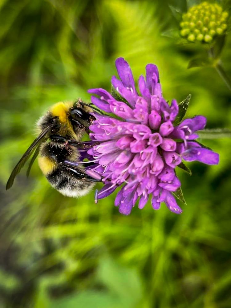 Фотография автора Александр Черепанов