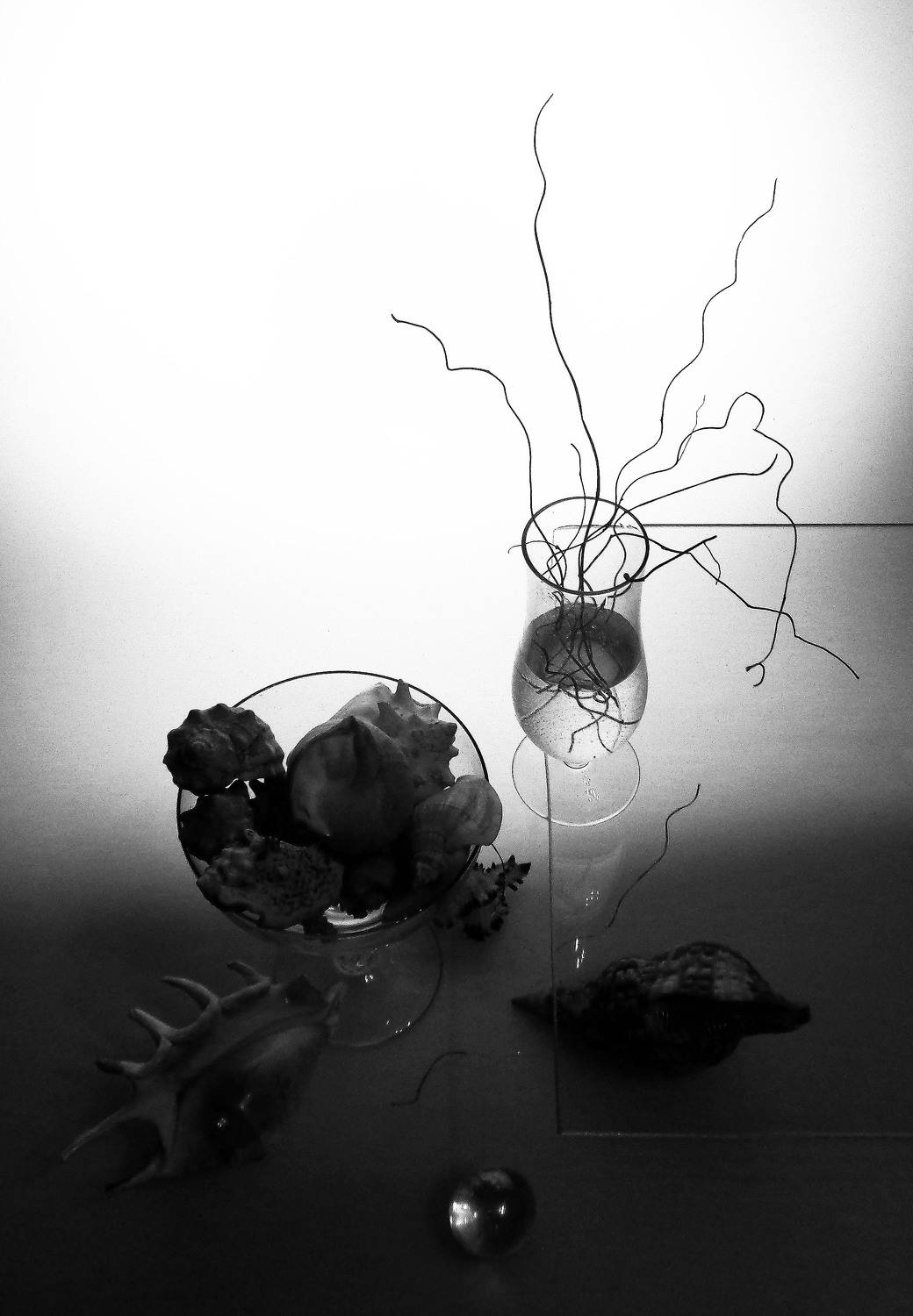 Photo #10282771
