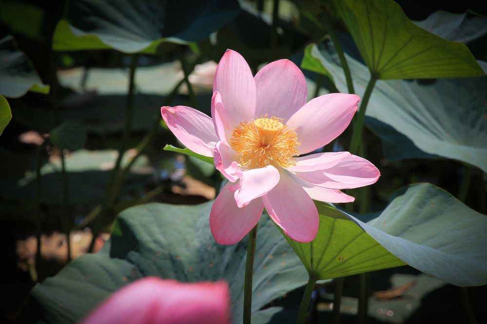 Photograph by Олег Филиппов