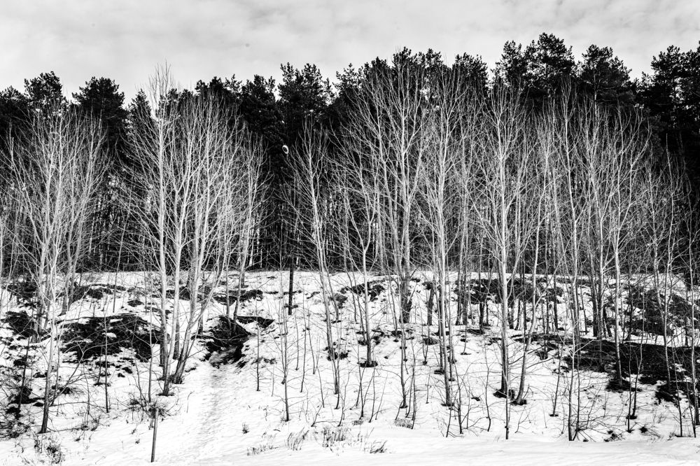 Photograph by Инесса Абрамова