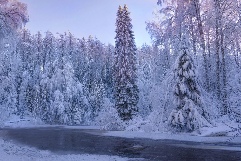 Фотография автора Галина