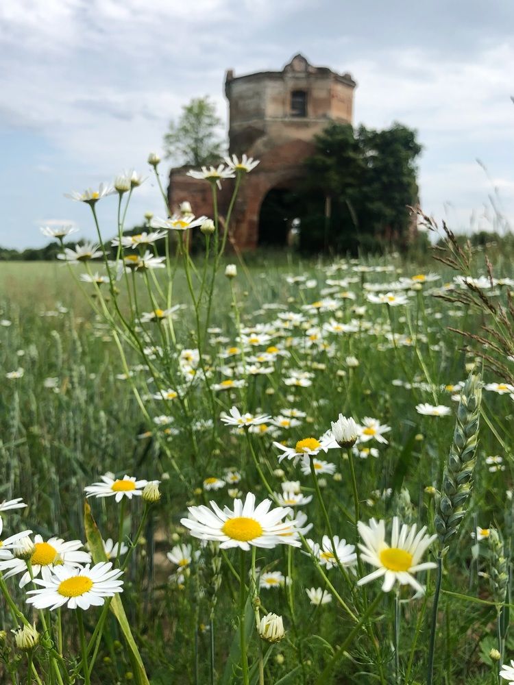 Photograph by Halina Mitsevich