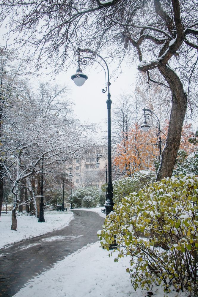 Photograph by Юлия Ташлыцкая