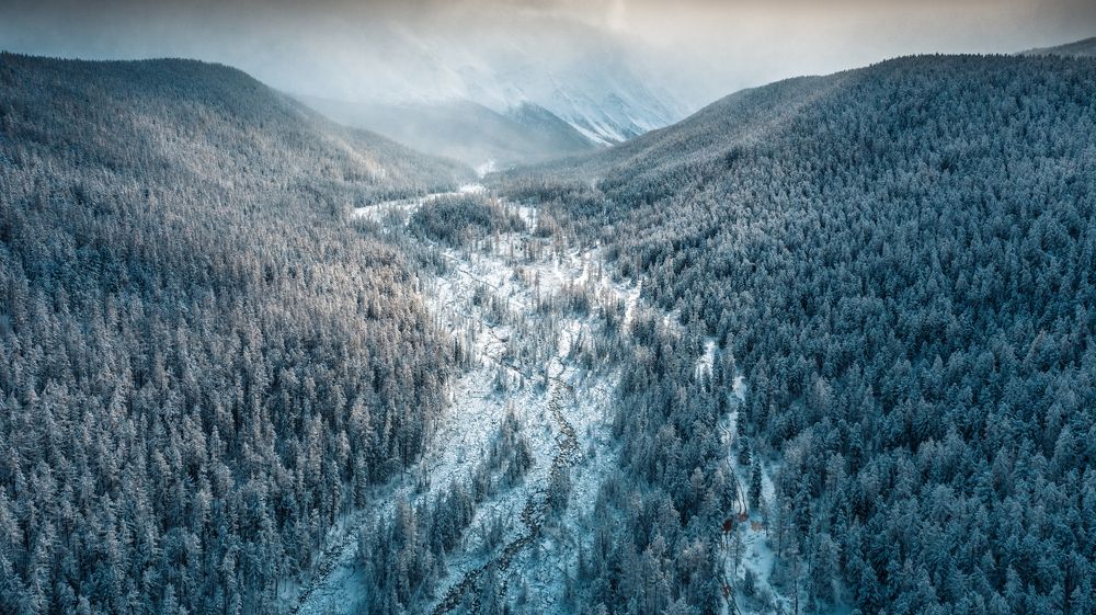 Зимнее царство