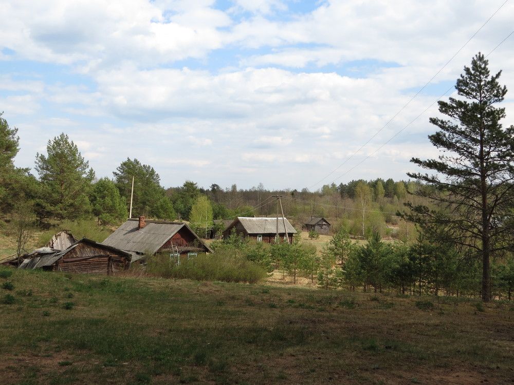 Photograph by Иван Скрипкин