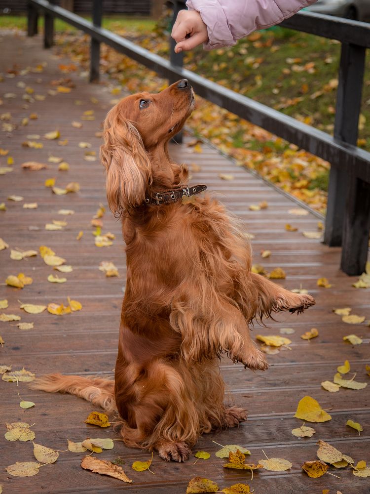 Photograph by Наталья Брюхненко