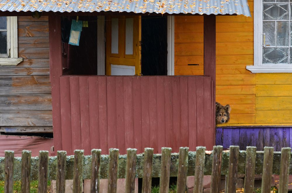 Photograph by Лукина Юлия