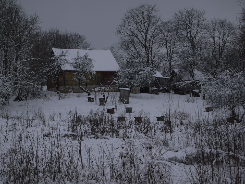 Photograph by Иван Скрипкин