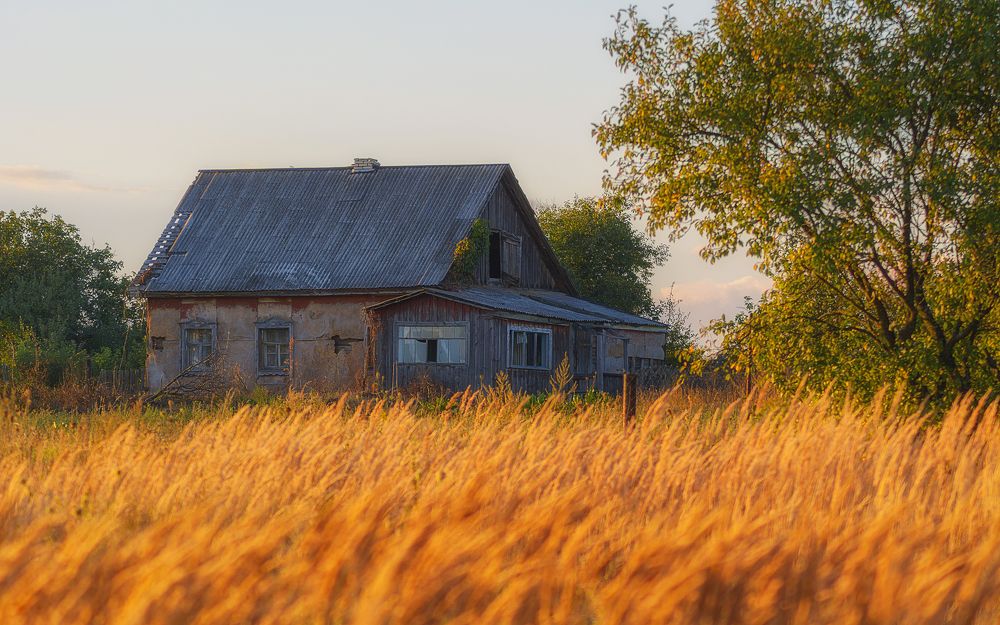 Photograph by Сергей Дишук