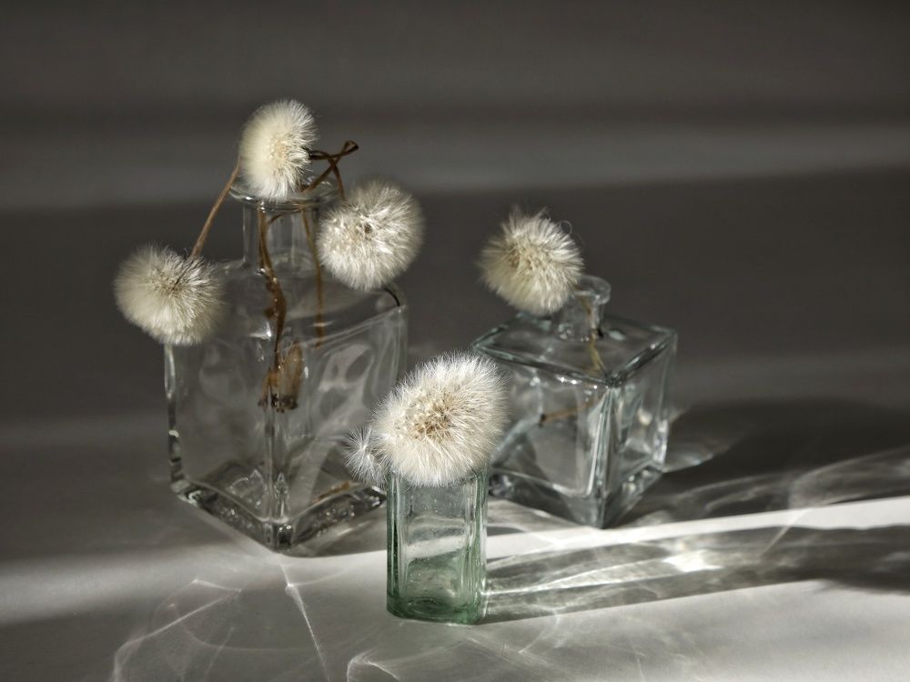 Photograph by Angelica Medvedeva