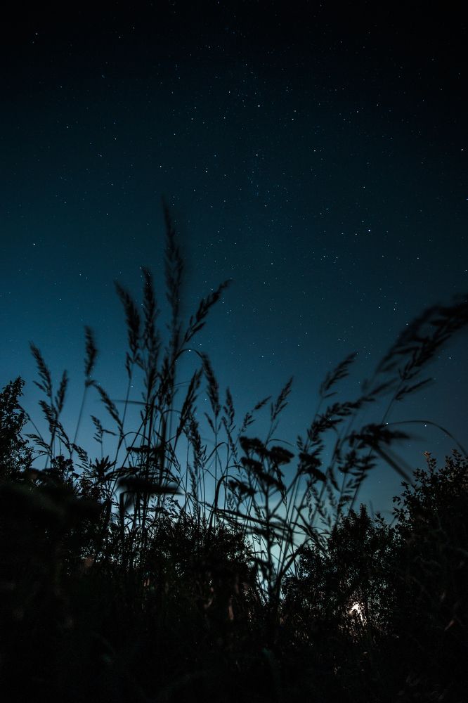 Photograph by Евгения Булычёва