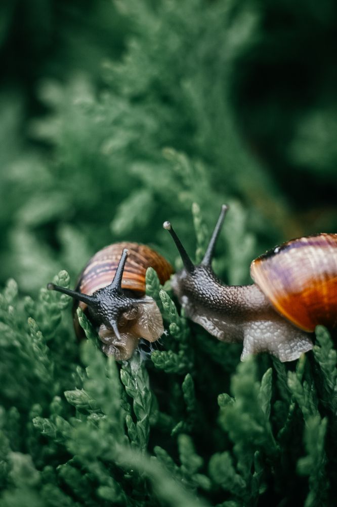 Фотография автора Воробьёва Анна