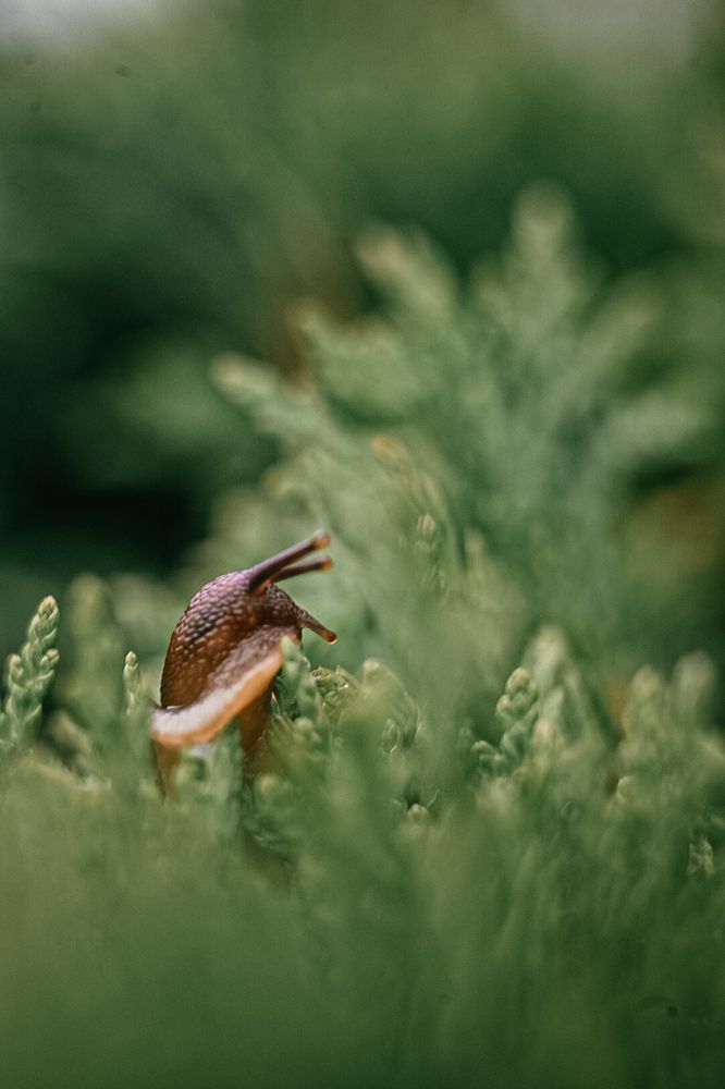 Фотография автора Воробьёва Анна