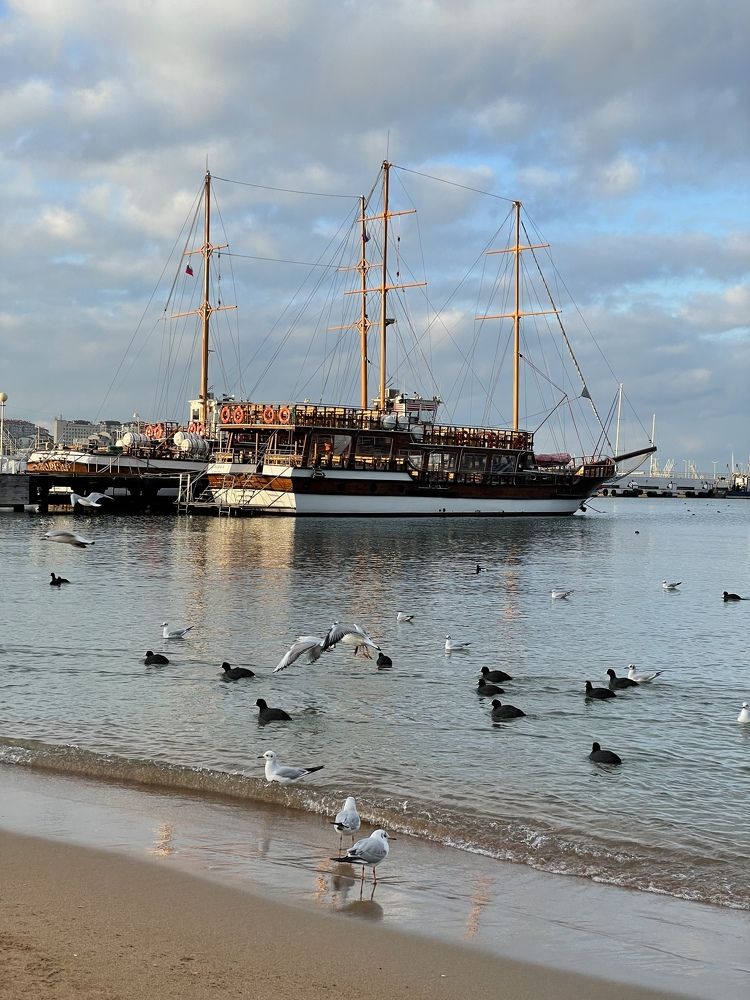 Photograph by Татьяна Токарева