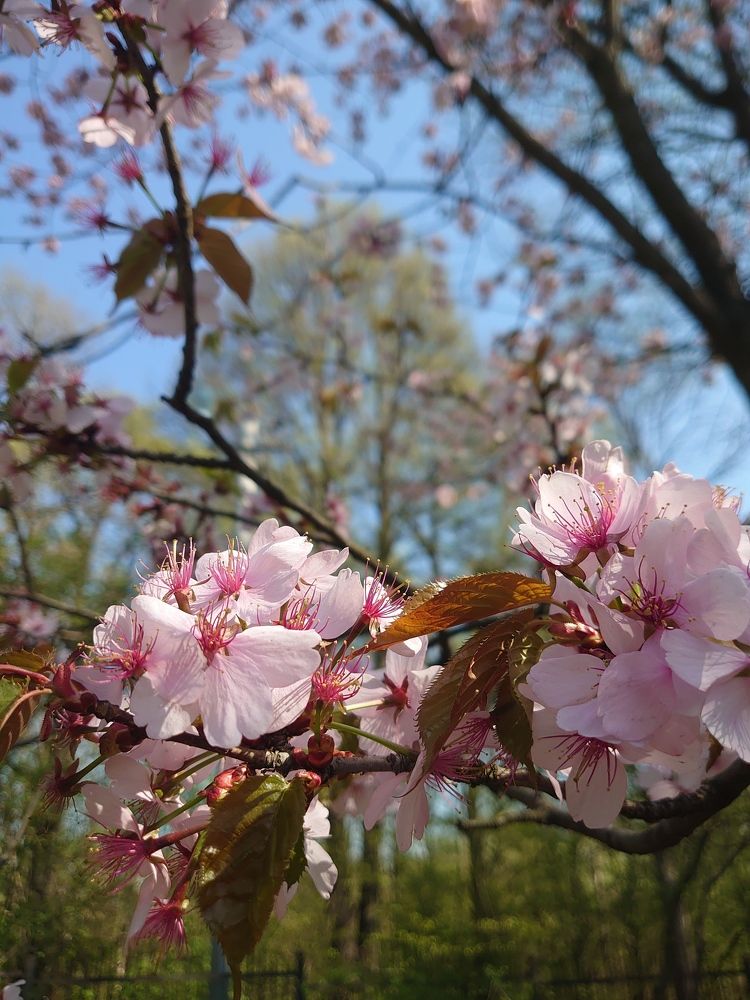 Photograph by Наталия Игоревна