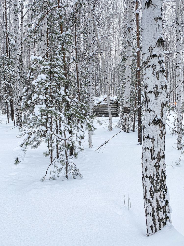 Фотография автора Вера Романова