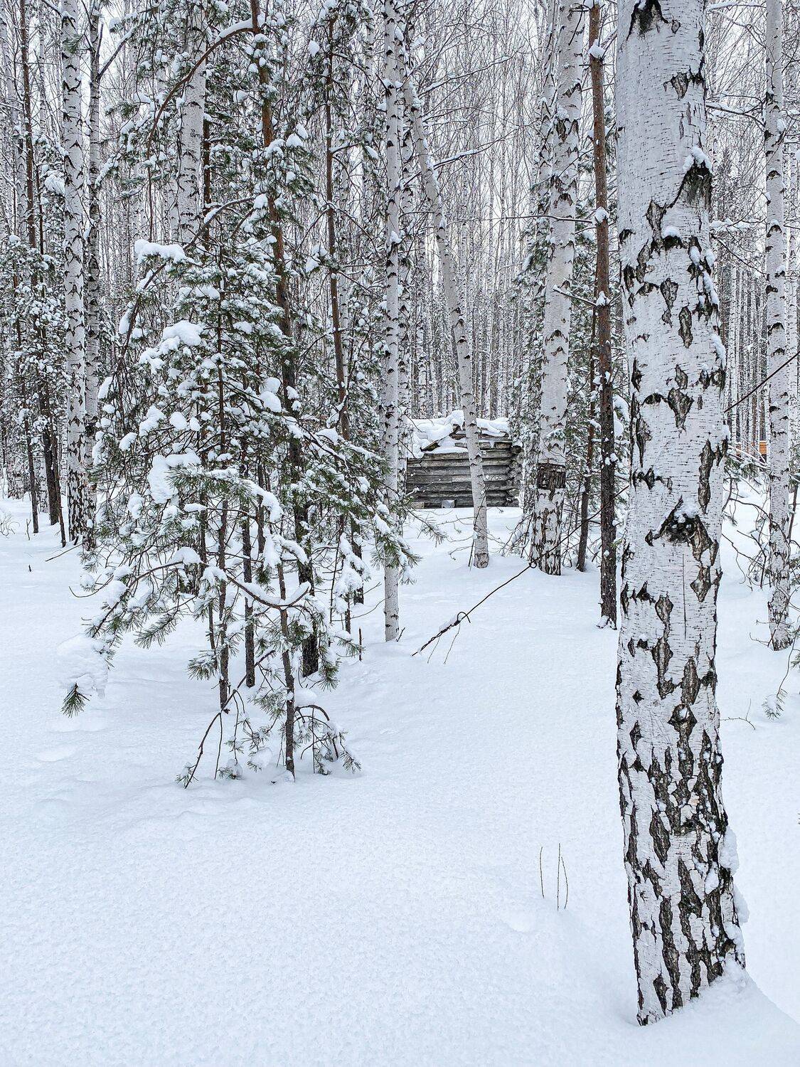 Фотография #10283443