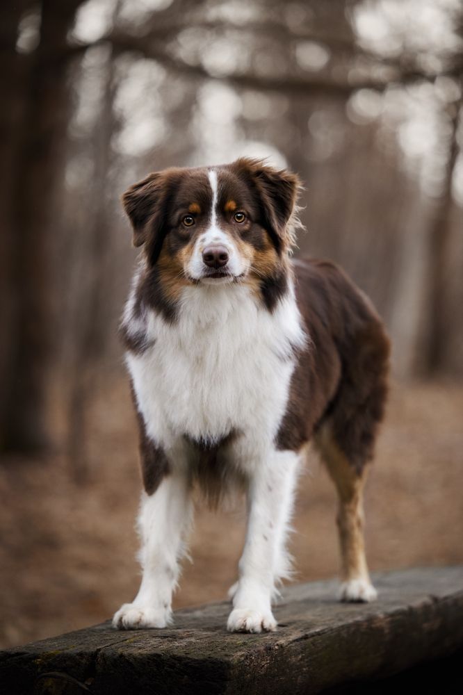 Photograph by Monika Maciejewska