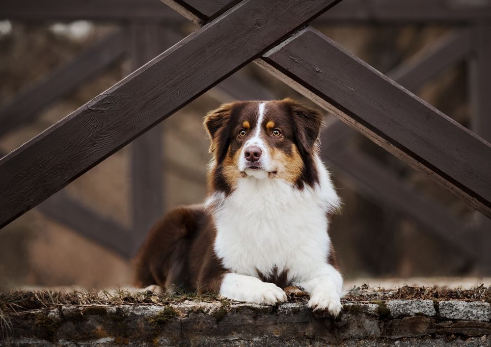 Photograph by Monika Maciejewska