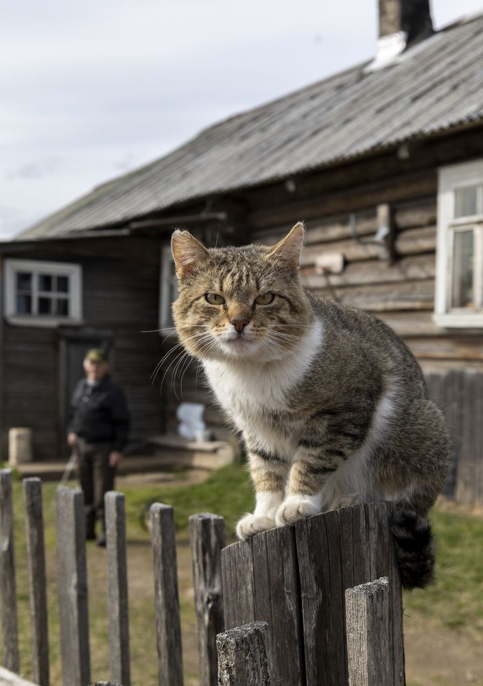 Photograph by Ольга Андрианова