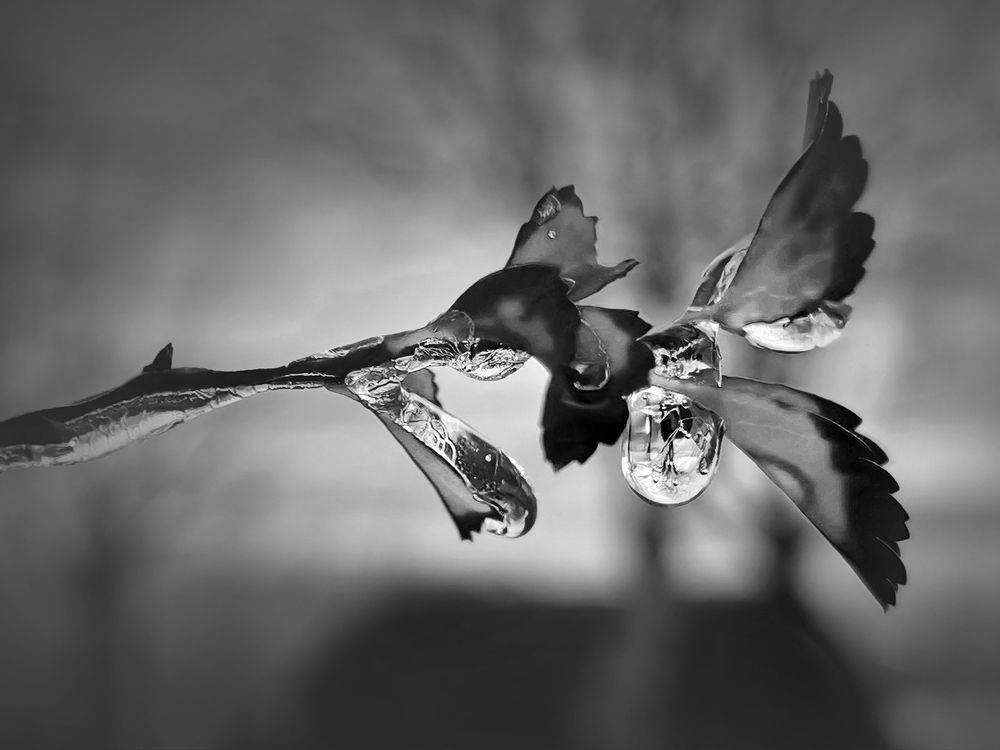 Photograph by Владимир Каюков