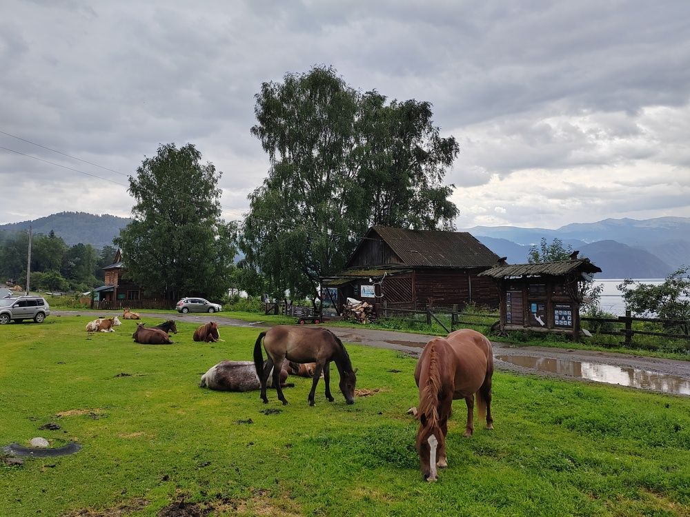 Photograph by DUBINA LEONID