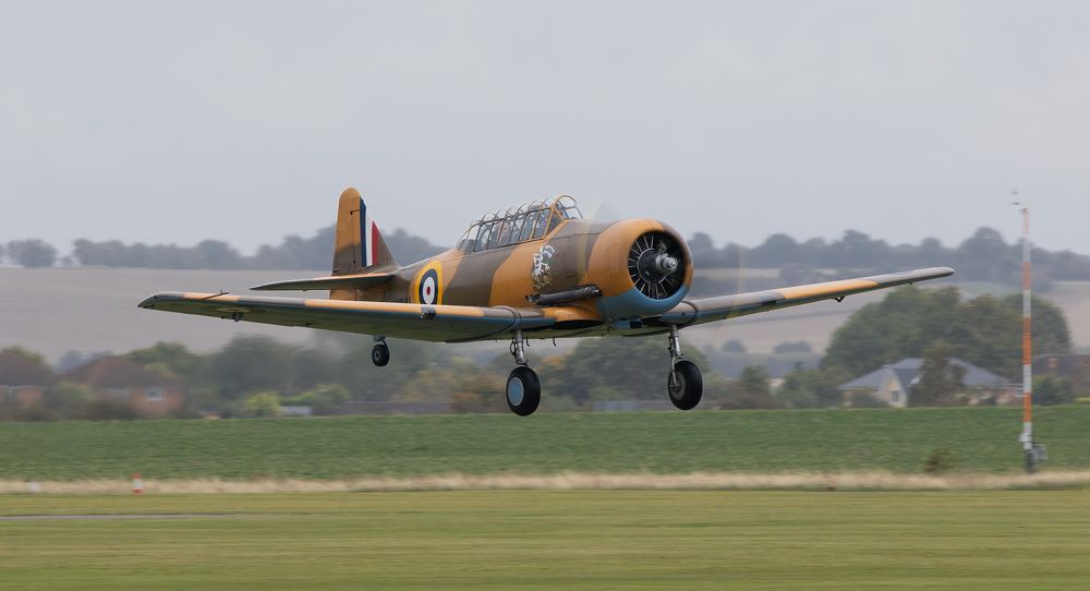 Фотография автора MARIA KULA