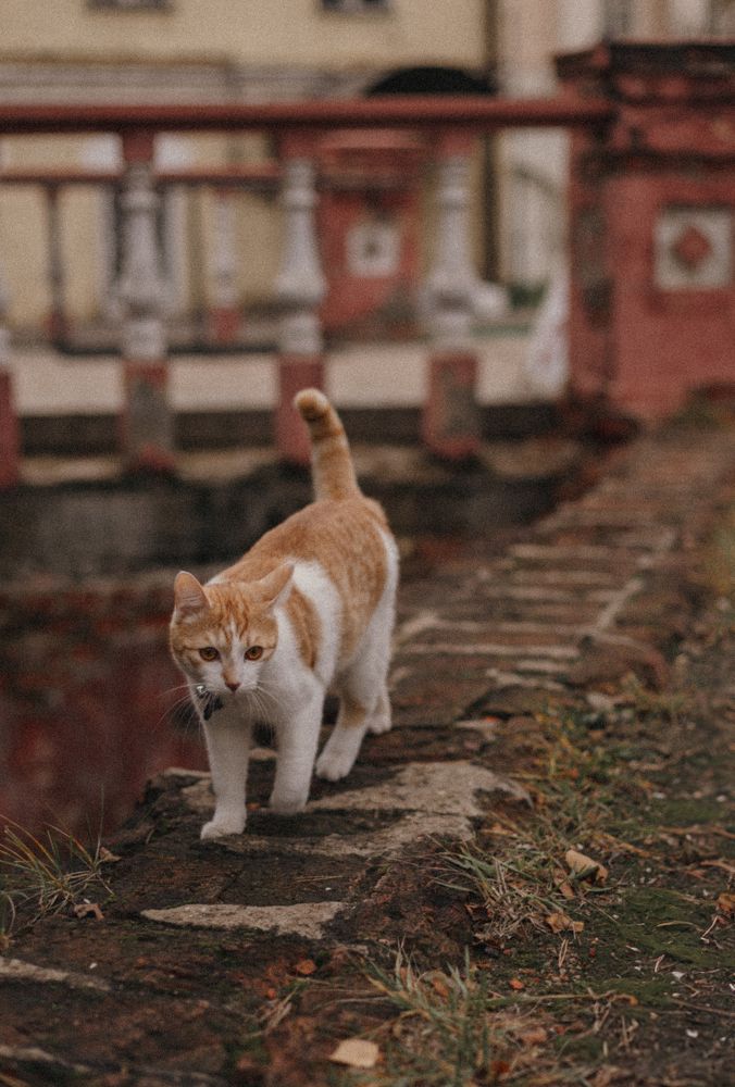 Photograph by Ольга Петрова