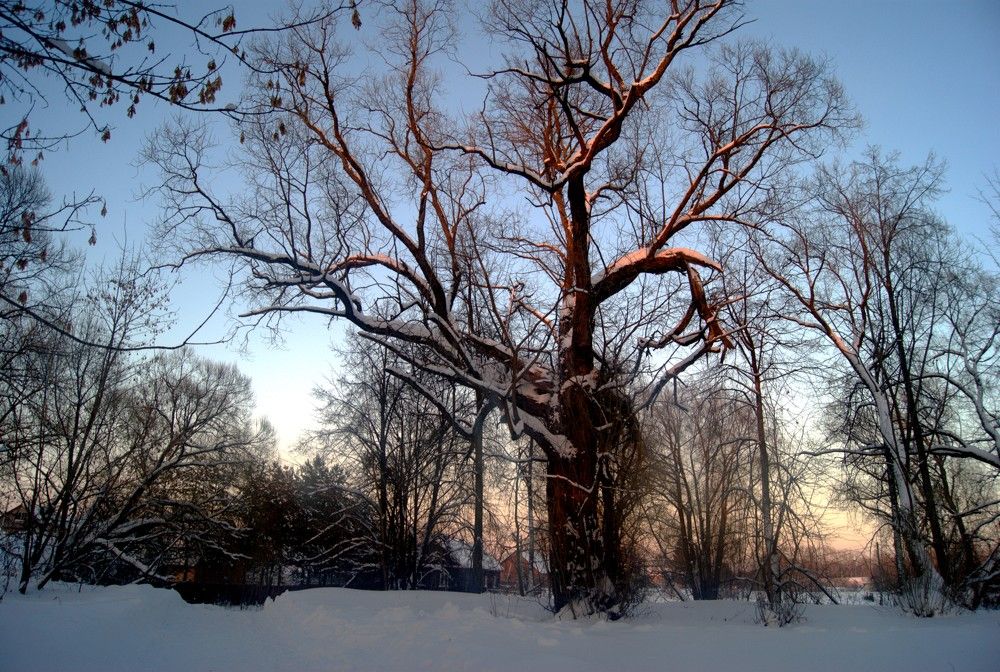Photograph by Владимир Сивохин