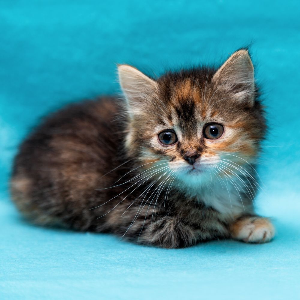 Photograph by Оксана Пучкова