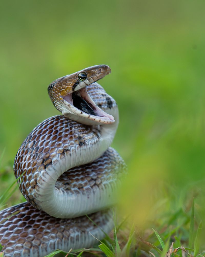 Photograph by Anandhu M