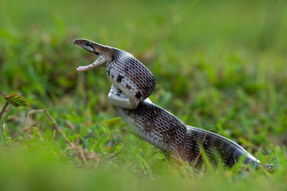 Фотография автора Anandhu M