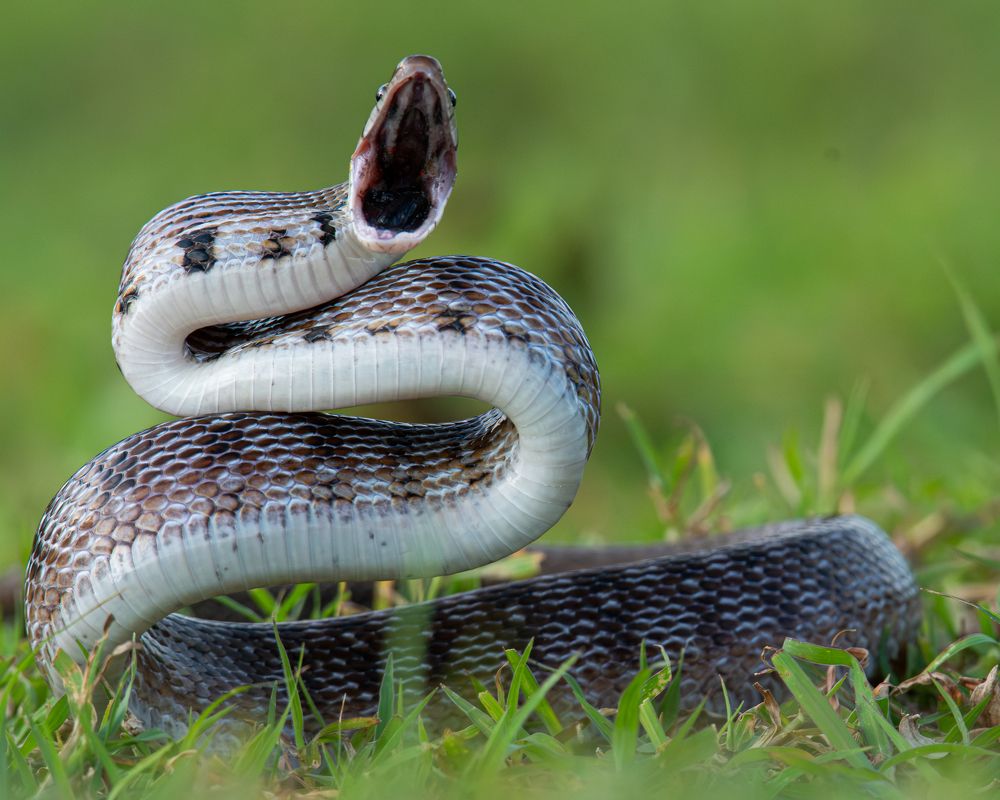 Photograph by Anandhu M