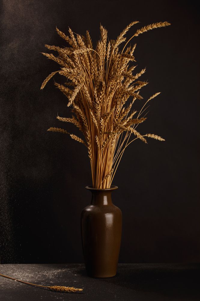 Фотография автора Мария Парамиди