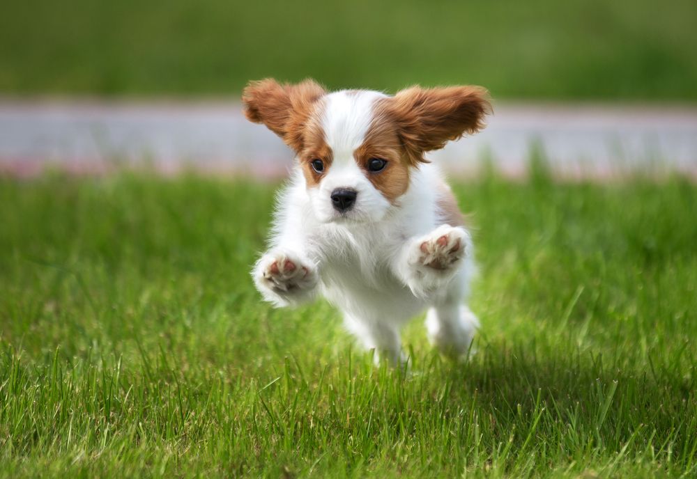 Photograph by Юлия Вербицкая