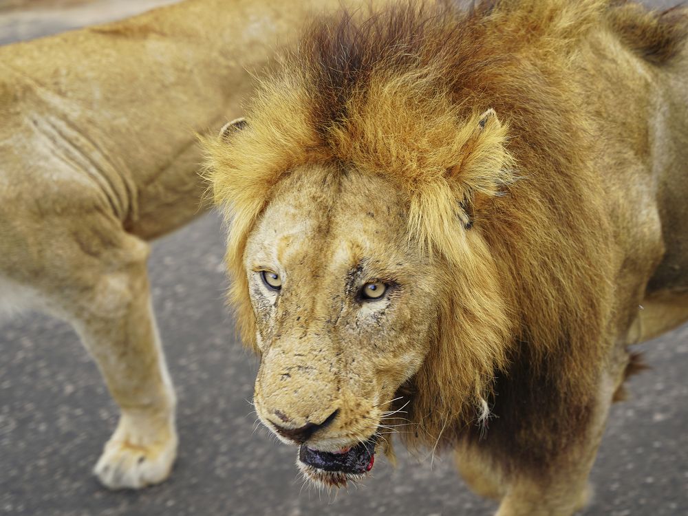 Photograph by Andrey