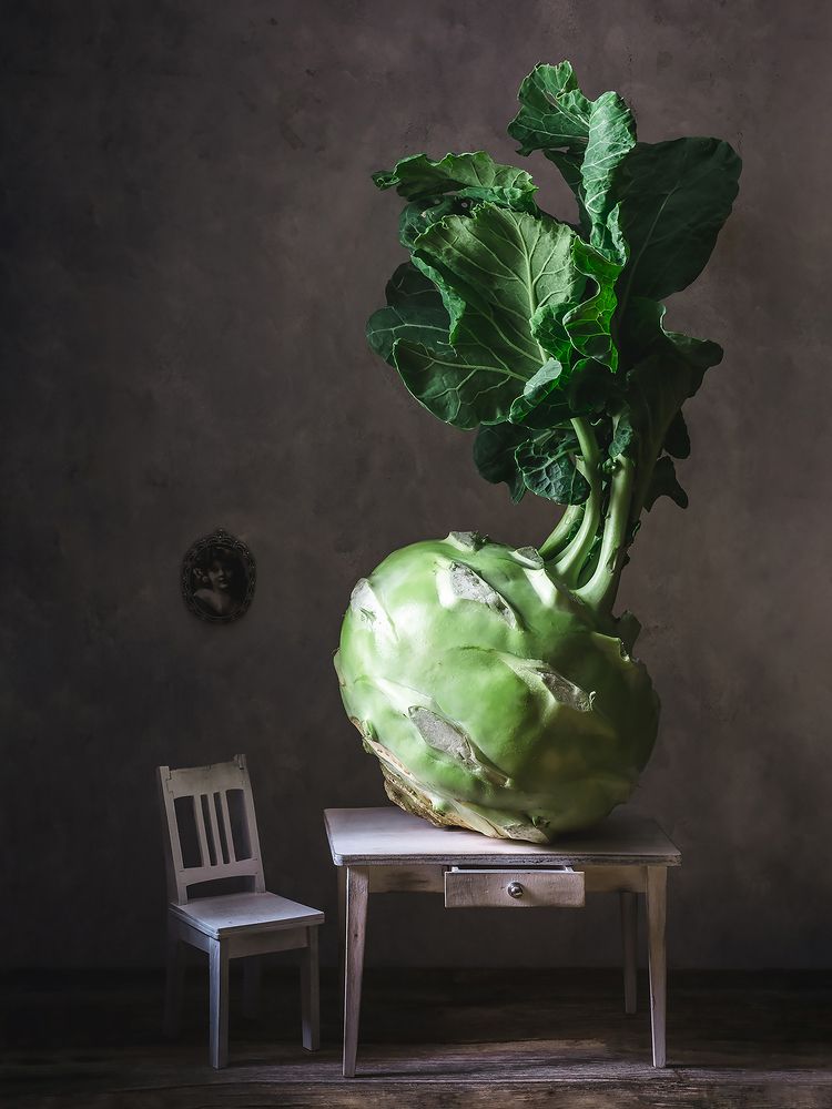 Photograph by Květa Trčková