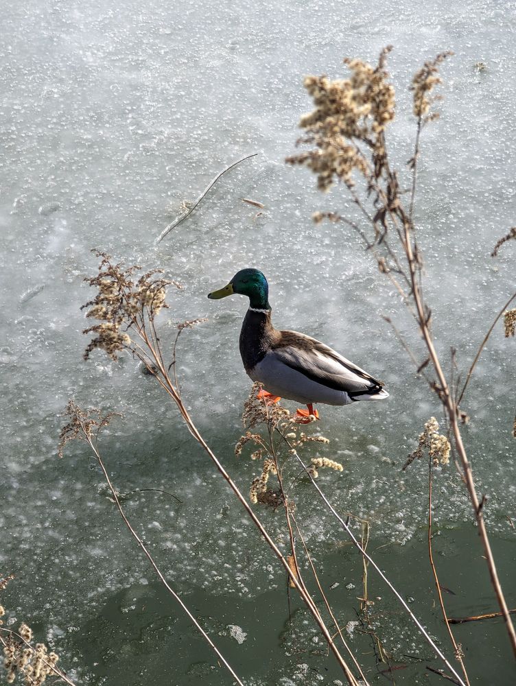 Photograph by Евгения Булычёва