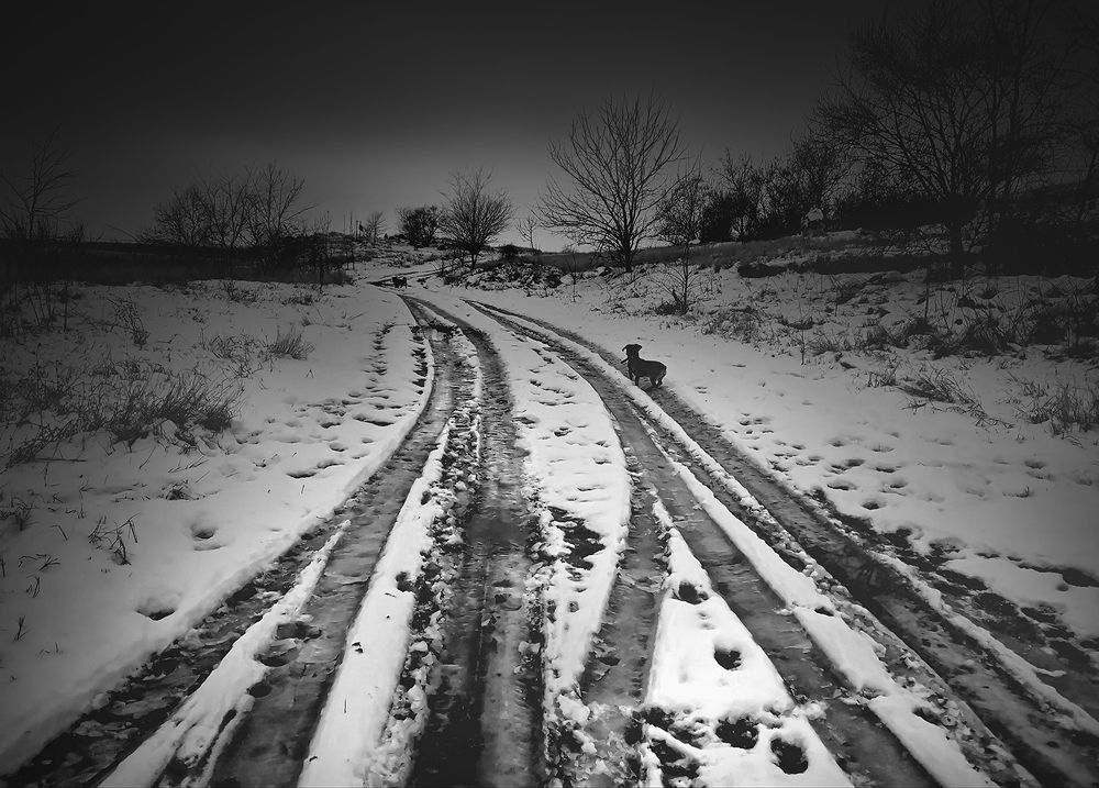 Photograph by Владимир Каюков