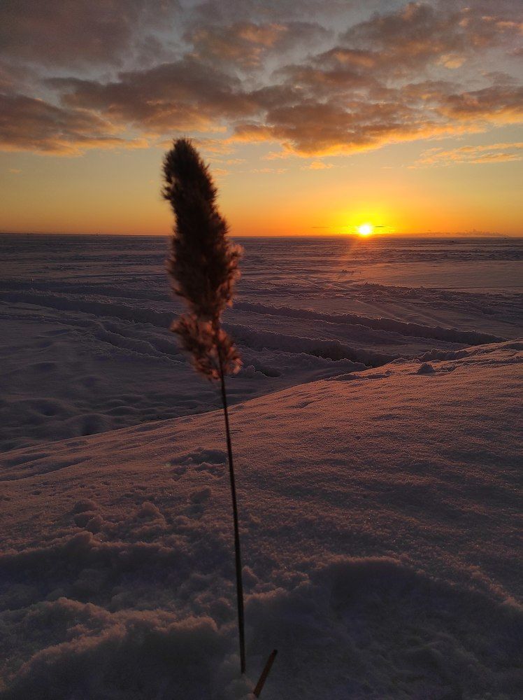 Photograph by Евгений Колтунов