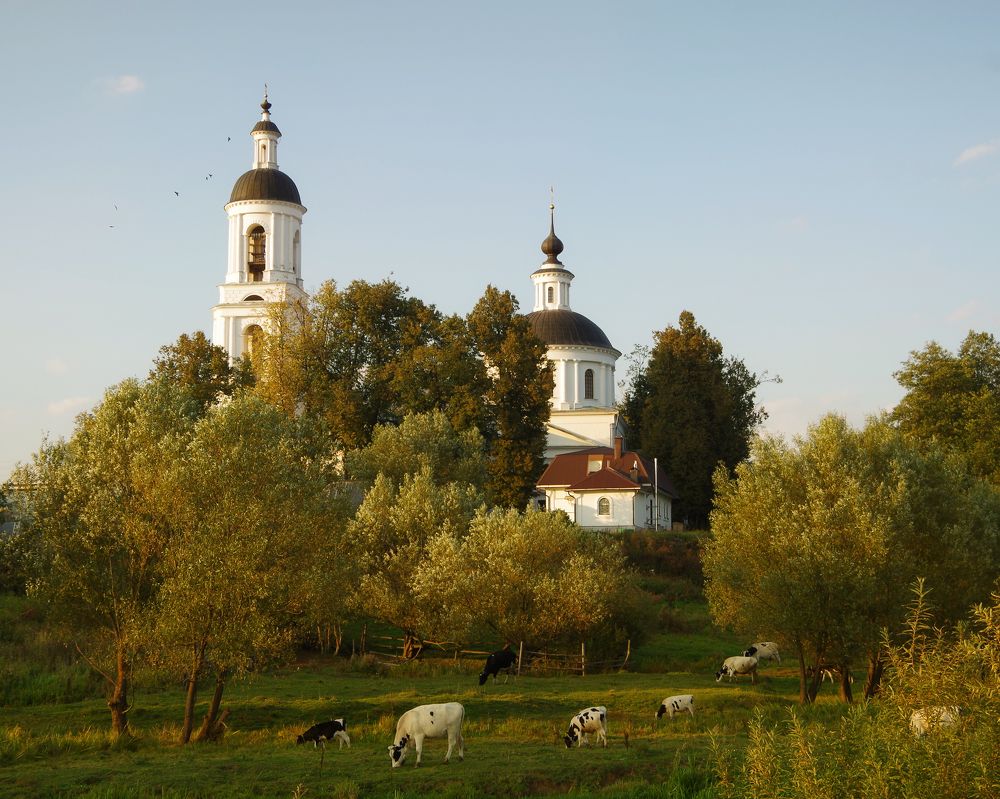 Фотография автора Савчиц Марина