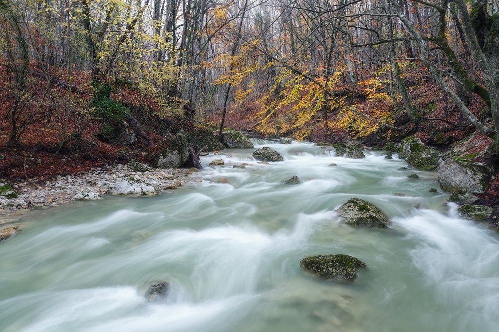 Осенний Крым. Ноябрь.
