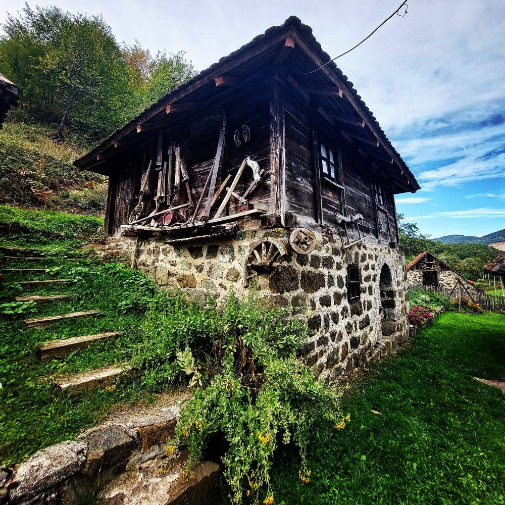 Photograph by Maja Micovic