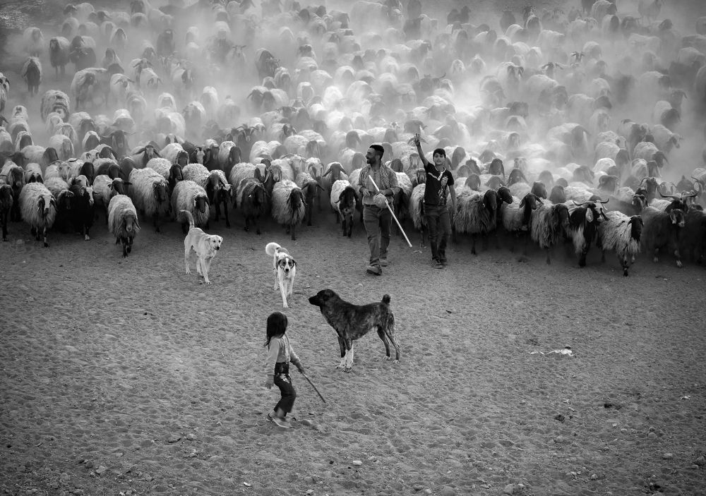 Фотография автора Gilcan Mete Delibay