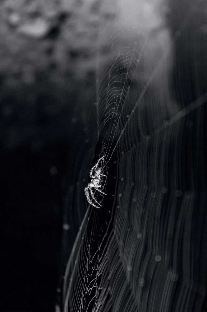 Photograph by Amirali Badri